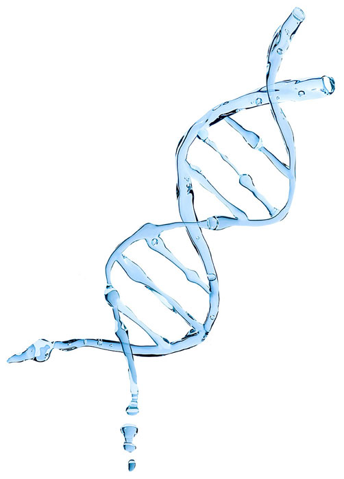 Test Genómicos - Distrigen