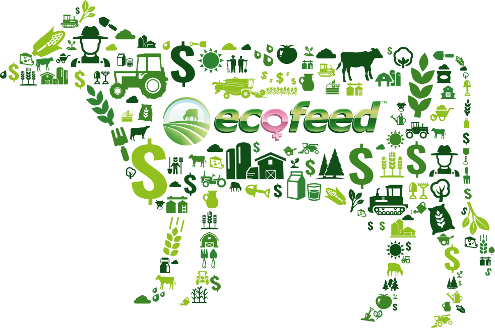 Índice EcoFeed - Distrigen